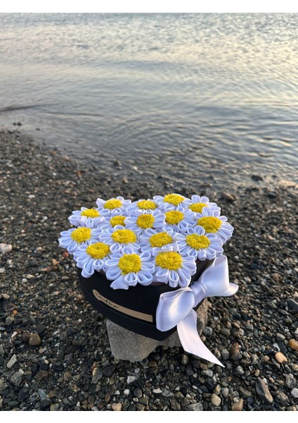 Kalpli Kutuda Solmayan Papatya-16'lı