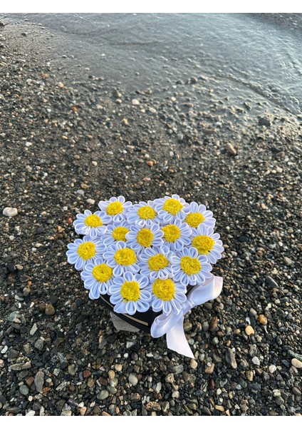 Kalpli Kutuda Solmayan Papatya-16'lı fiyatları