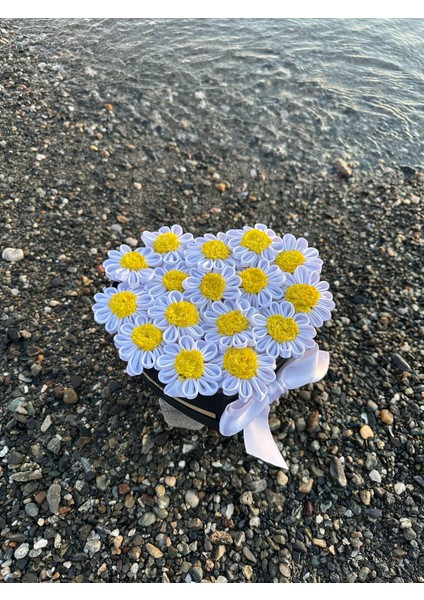 Kalpli Kutuda Solmayan Papatya-16'lı modelleri