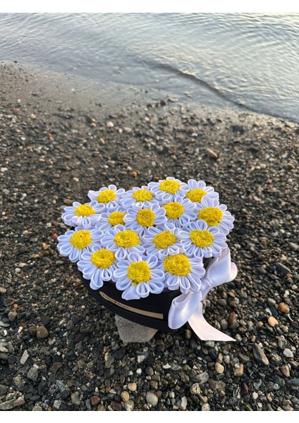 Kalpli Kutuda Solmayan Papatya-16'lı indirimleri