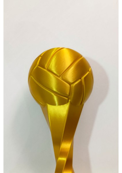 Kişiye Özel Altın Voleybol Kupası, Isme Özel Voleybol Kupası fiyatları