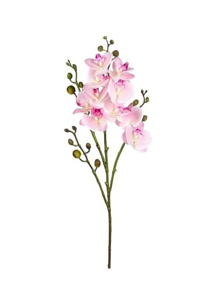 Yapay Orkide Gerçek Dokulu Pembe 80 Cm. modelleri
