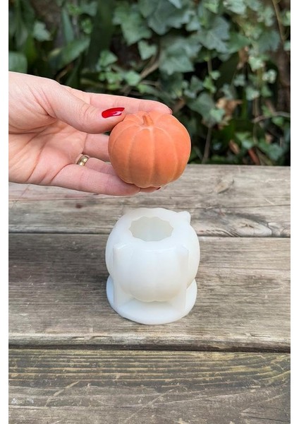 Concept Pumpkin Orta Boy Mum Kalıbı (Silikon)