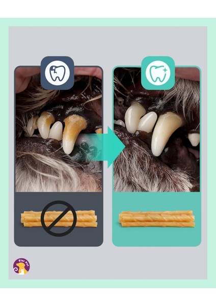 Chewbone Köpek Diş Bakımı Temizliği Burgu Ödül Çiğneme Çubuğu Kemiği 50LI 300GR modelleri