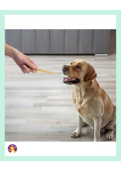 Chewbone Köpek Diş Bakımı Temizliği Burgu Ödül Çiğneme Çubuğu Kemiği 50LI 300GR indirimleri