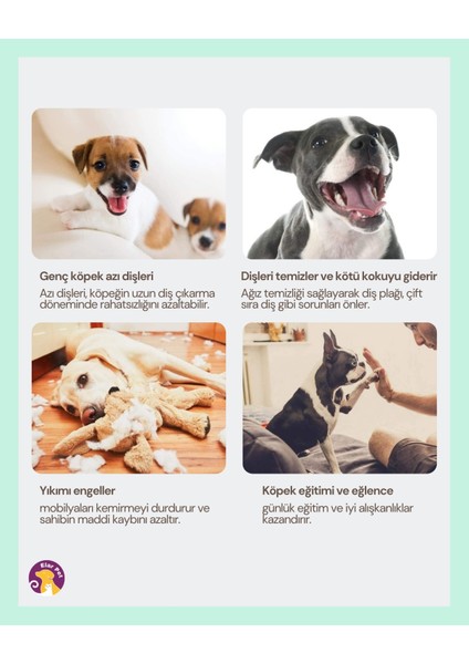 Chewbone Köpek Diş Bakımı Temizliği Burgu Ödül Çiğneme Çubuğu Kemiği 50LI 300GR