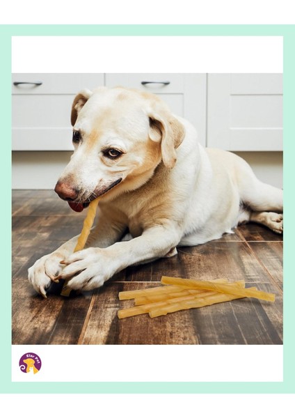 Chewbone Köpek Diş Bakımı Temizliği Burgu Ödül Çiğneme Çubuğu Kemiği 50LI 300GR