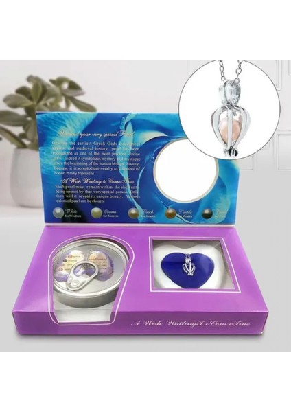 Gerçek İstiridye İçinde İnci Kolye