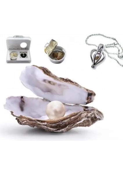 Gerçek İstiridye İçinde İnci Kolye fırsatları