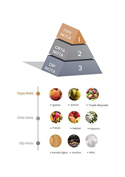 Prova Bambu Çubuklu Oda Kokusu Peach Tea 100 ml fiyatları