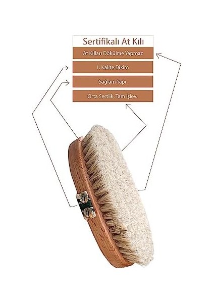 SEAY%100 Doğal Sertifikalı At Kılı Fırçası, Selülit Giderici modelleri