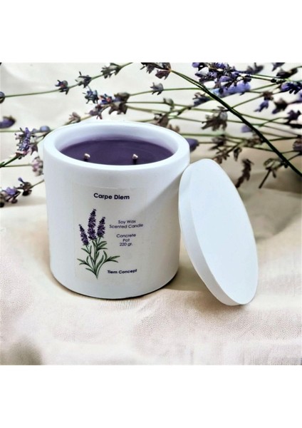 Concept Dekoratif Lavanta Kokulu Beyaz Renkli Saksılı ve Kapaklı Soya Mum