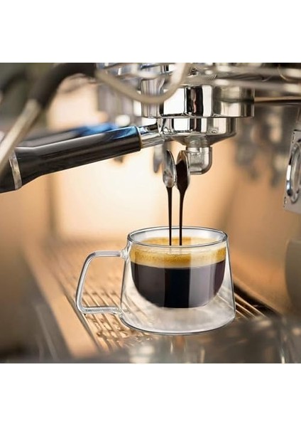 Çift Cidarlı Borosilikat | Isı Yalıtımlı Kahve Çay Bardağı (2, 200 Ml) modelleri