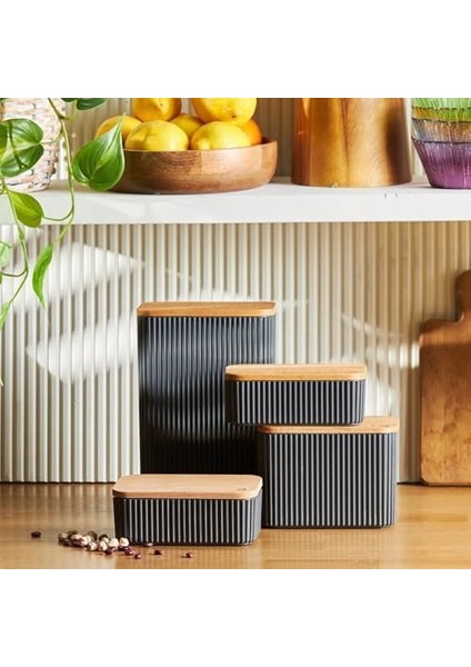 Massimo 4'lü Saklama Kabı Set fiyatları