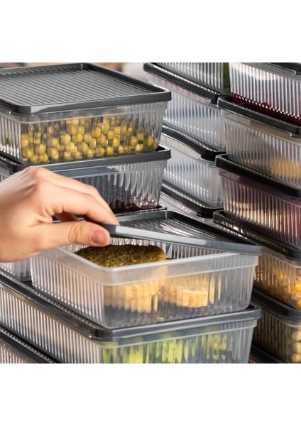 1169 8li Buzdolabı Organizer Mikrodalga ve Derin Dondurucuya Uygun Buzluk Bakliyat Saklama Kabı - modelleri