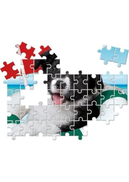 10W1 Super Kolor fiyatları