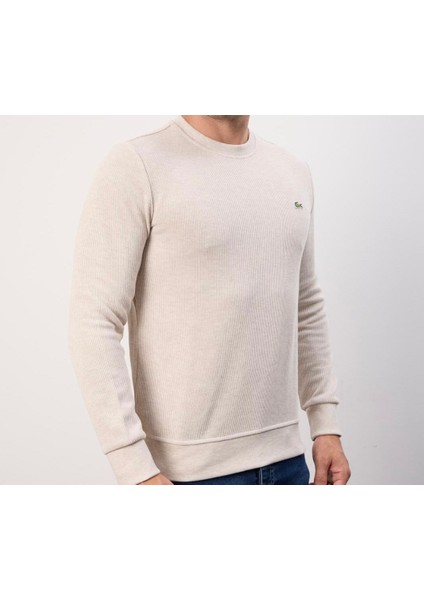 Bisiklet Yaka Bej Dar Kesim Erkek Triko fiyatları