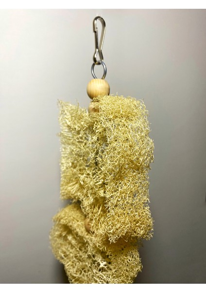 Lif Kabaklı Papağan Oyuncağı modelleri