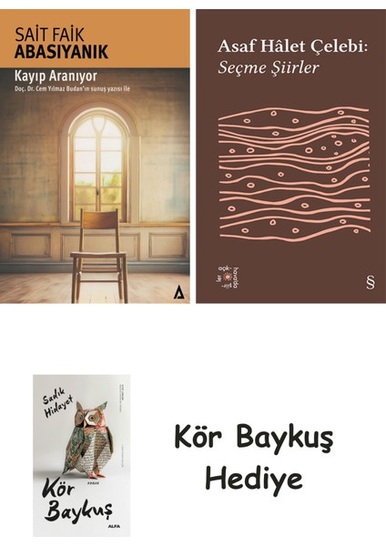 Kayıp Aranıyor + Everest Açıkhava 35 - Seçme Şiirler + Kör Baykuş