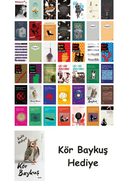 42 Kitaplık Türk Edebiyatı Seti + Çim Adam