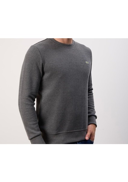 Bisikletyaka Dar Kesim Antrasit Erkek Triko fiyatları