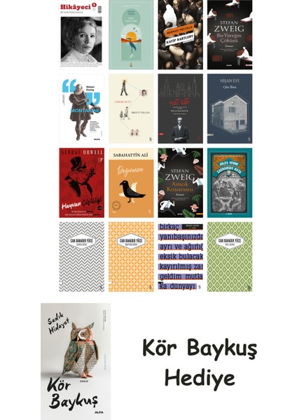 16 Kitaplık Türk Edebiyatı Seti + Çim Adam