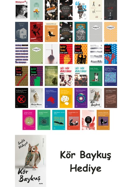 41 Kitaplık Türk Edebiyatı Seti + Çim Adam