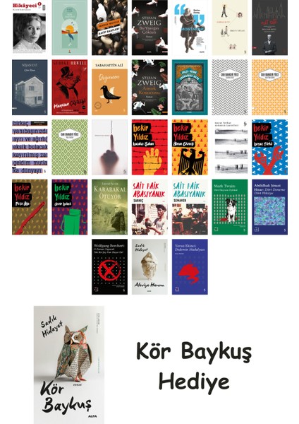 31 Kitaplık Türk Edebiyatı Seti + Çim Adam