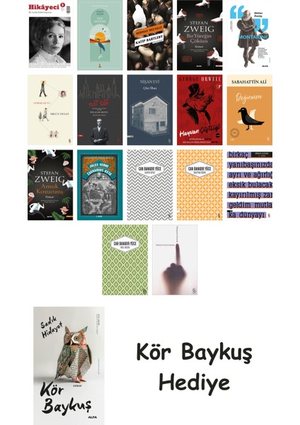 17 Kitaplık Türk Edebiyatı Seti + Çim Adam