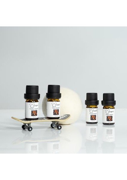 Woolyball Konsantre Uçucu Esans Serisi, 4 Adet 5 ml Baharatlı Kokular fiyatları