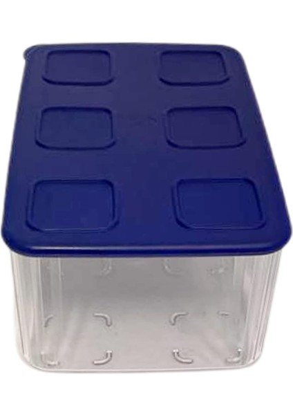 Şeffaf ve Taze 2,5 L Şeffaf Mavi Koyu Mavi Buzdolabı Sistemi Taze Sistem Konteyner Kapaklı Dikdörtgen