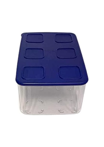 Şeffaf ve Taze 2,5 L Şeffaf Mavi Koyu Mavi Buzdolabı Sistemi Taze Sistem Konteyner Kapaklı Dikdörtgen fiyatları