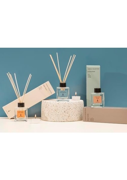 Porland Casual Dark Amber Çubuklu Oda Kokusu 100ML fiyatları