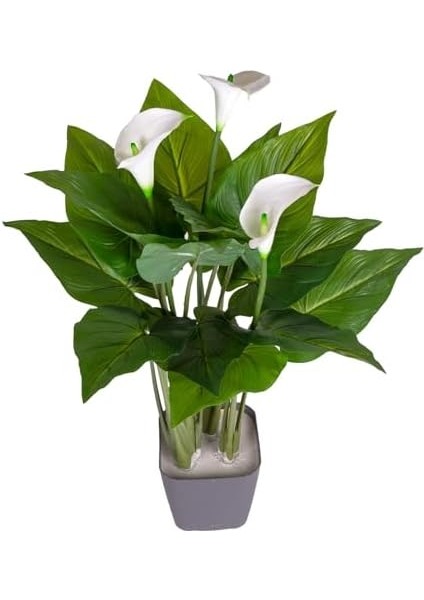 Yapay Kala Zambak Ağacı Gerçek Dokulu Yeşil 68 Cm. fiyatları