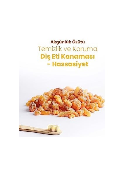 Probident Aktif Probiyotikli Florürsüz Akgünlük Özüt Ilaveli Doğal Diş Macunu 75ML