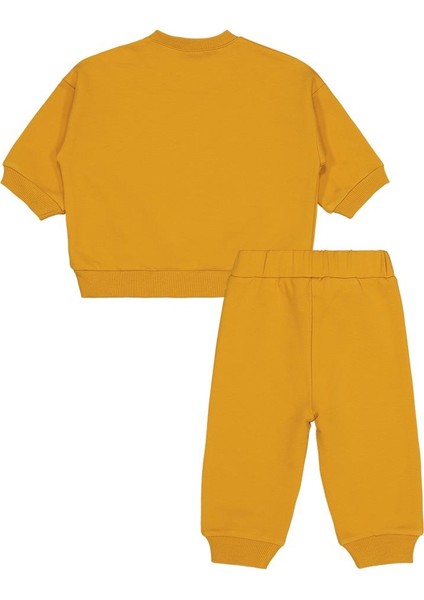 Baskılı 2'li 6-18 Ay Takım modelleri