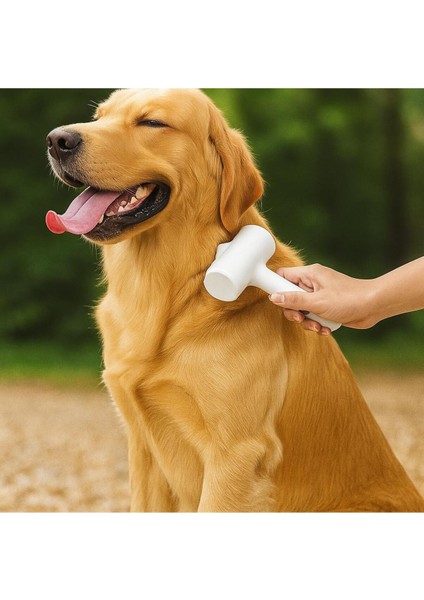 Roller Tüy Toplayıcı (1 Adet) fırsatları