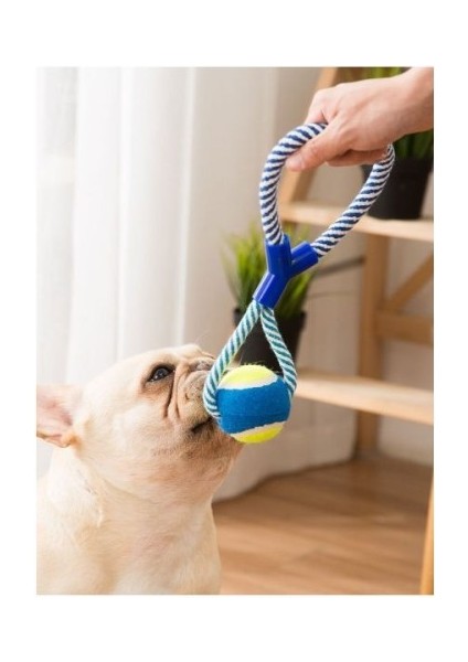 Halatlı Köpek Çiğneme Topu modelleri