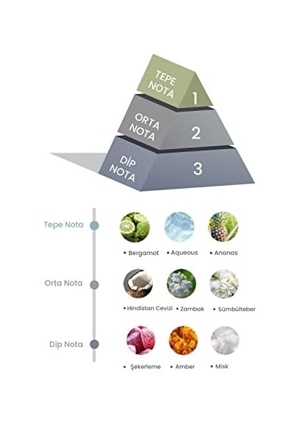 Prova Bambu Çubuklu Oda Kokusu Coco Sun 100 ml