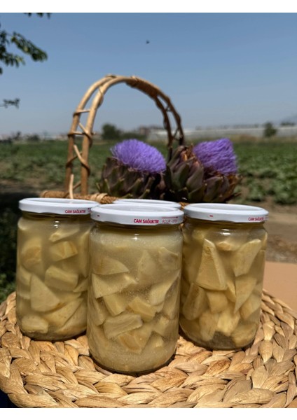 Enginar Turşusu fiyatları