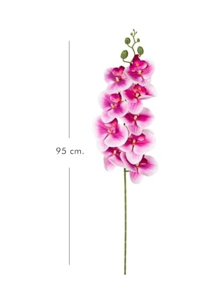 Yapay Orkide Gerçek Dokunuş Fuşya-Beyaz 95 Cm. fiyatları