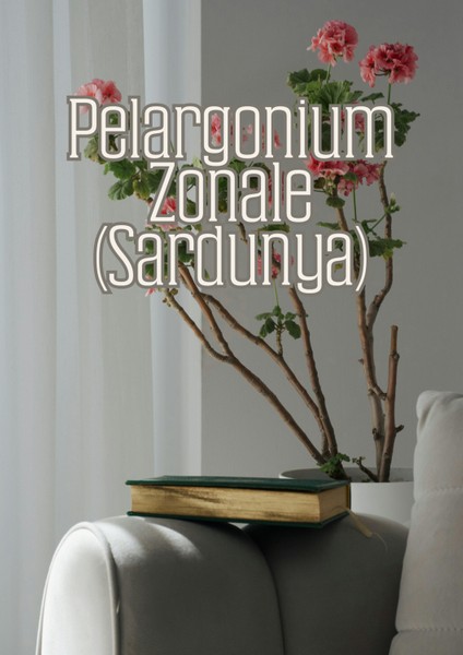 Rüzgar Bahçesi - Dış Mekan Süs Bitkileri Için Özel Toprak Karışımı