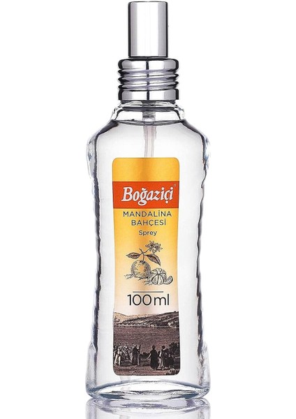Boğaziçi Kolonya Mandalina Cam Şişe 100 Ml. fiyatları