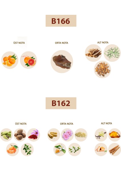 Bacera B166 Woody Erkek Parfüm 50ML Edp B162 Woody Erkek Parfüm 50ML Edp fiyatları