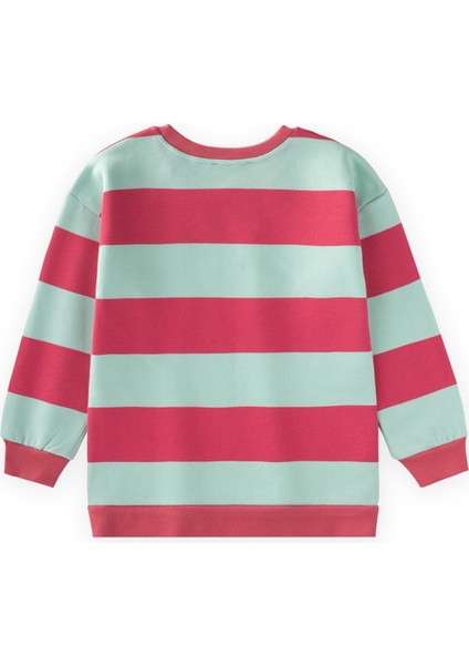 Sweatshirt 4-12 Yaş Mint Mercan Cizgili fiyatları