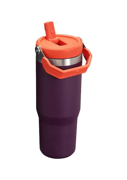 The Iceflow Flip Straw Mor Termos fiyatları