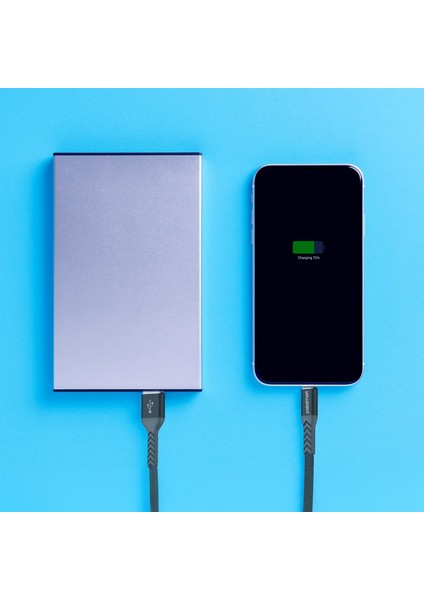 PBS408 Lightning Şarj ve Data Kablosu 1.2 Metre Gri fiyatları