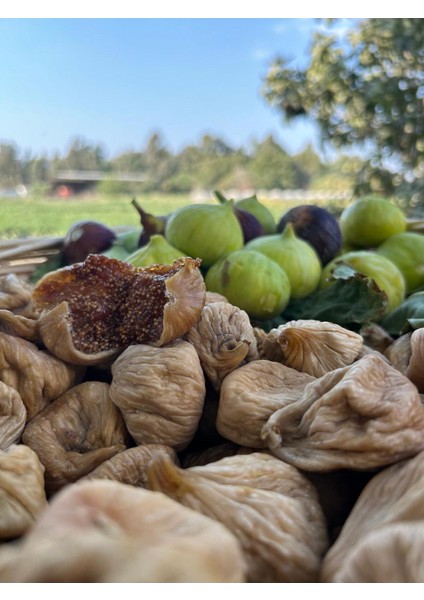 Kuru Incir Jumbo Boy | 1 kg fiyatları