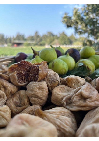 Kuru Incir Jumbo Boy | 1 kg modelleri