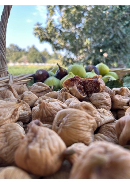 Kuru Incir Jumbo Boy | 1 kg fırsatları